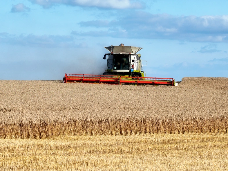 northern-ag-wheat-field-harvest